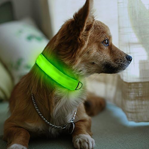 Green Light-Up LED Adjustable Pet Collar (Flashing or Steady Modes) - Rechargeable via USB Cable (Included) by Electronix Express (Small)