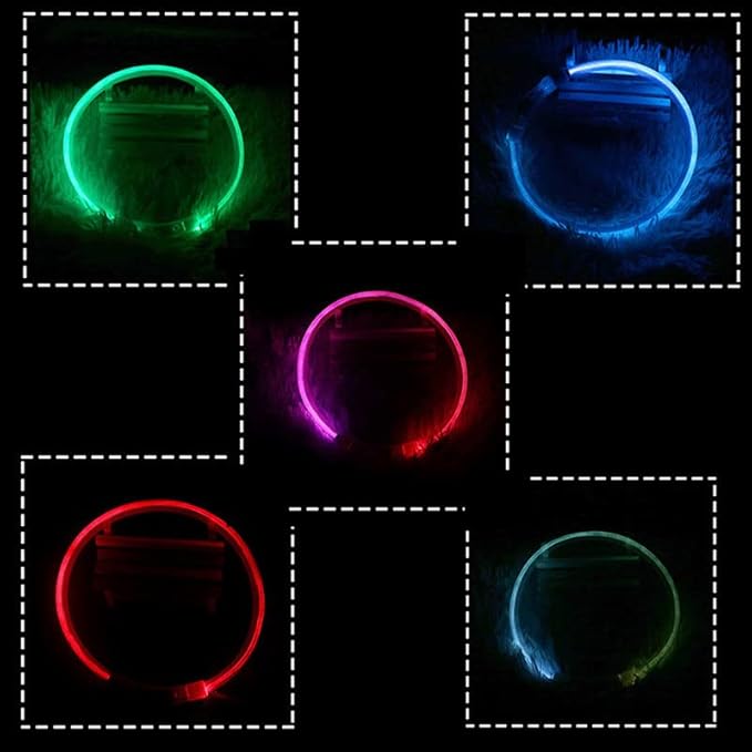 LED Dog Collar - Light Up Dog Collars - USB Rechargeable Lighted Dog Collar, Flashing Dog Collar Lights for Your Dog Walking at Night (Green)