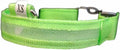LED Flashing Collars 3 types Flashing or Soild (Small, Mint Green)