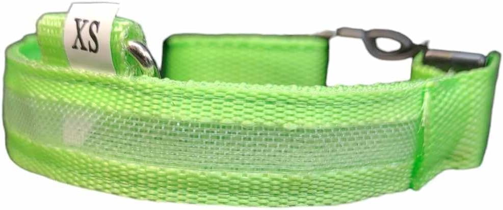 LED Flashing Collars 3 types Flashing or Soild (Small, Mint Green)