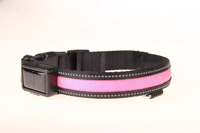 LED Dog Collar Light Rechargeable Color Changing, Glow in The Dark Dog Collars Waterproof Glowing Dog Collars for Large Small Medium Dogs (Large, Green)