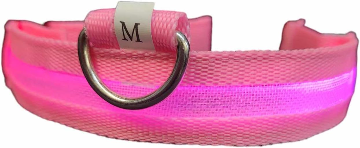 LED Flashing Collars 3 types Flashing or Soild (Medium, Pink)