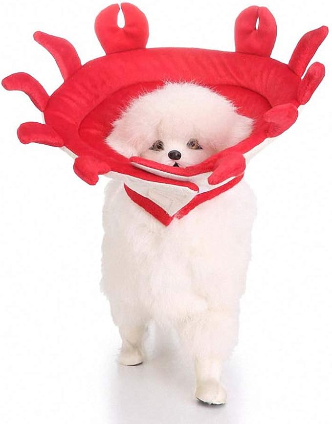 Lakke Flower Colorful Pet Dog Necklace Collar Various Pattern Shape Puppy Playing Collars for Small Dog Red M