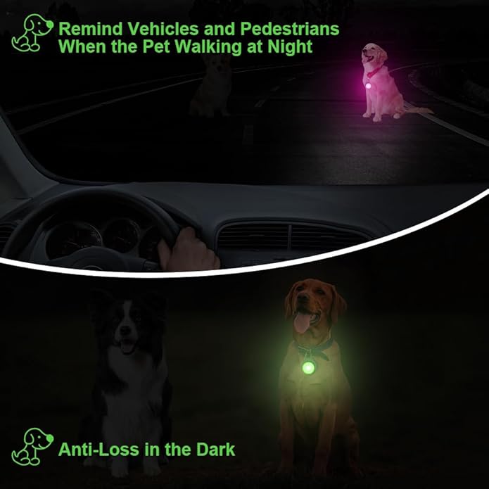AUAUY LED Dog Collar Light, 4 Modes USB Rechargeable Light Up Dog Collar Light, IP68 Waterproof Pet Collar Light, LED Safety Light for the Dark for Running Jogging Walking Dog Collar-Green
