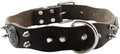 Pet Cowhide Collar for Medium Large Dogs Adorable Leather Necklet Stylish Design Material XL Pet Accessory