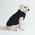 Spark Paws Dog Winter Jacket, Water-Resistant Coat, Warm Reflective Windproof Fleece-Interior, for Medium and Large Dogs - Black - M