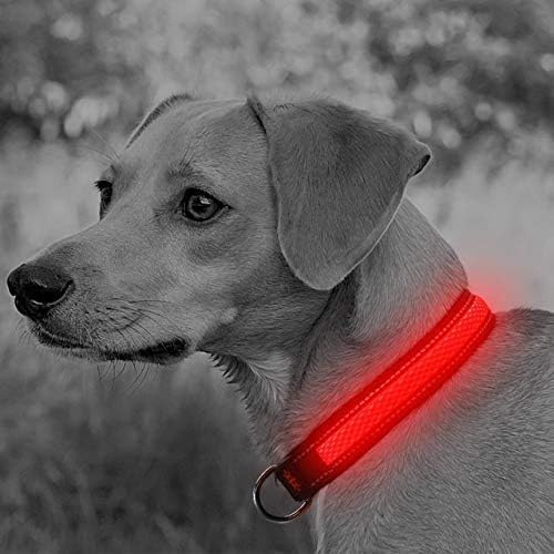 LED Dog Collar (L (53 60cm), Red) - USB Rechargeable Pet Collar Glows with Night Safety LEDs, Lights Up with Nylon Tape and Reflective - Perfect for Small, Medium and Large Dogs by The Small Moment
