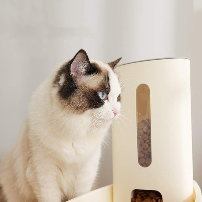 feeders Blue Large Capacity Automatic Feeder 3.8L pet cat Dog Feeder Bowl Plastic PP