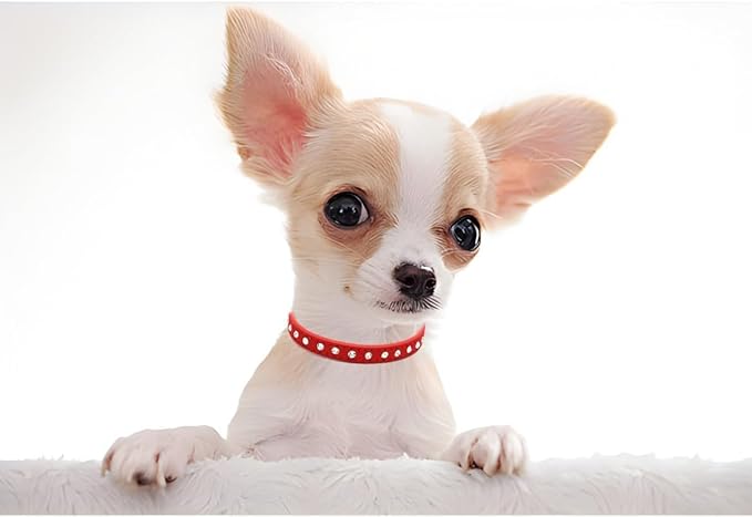 Serijoars Puppy Dog Collar with Crystal Diamond Colorful Bling Girl Puppy Small Dog Cat Collars (XS, Red)