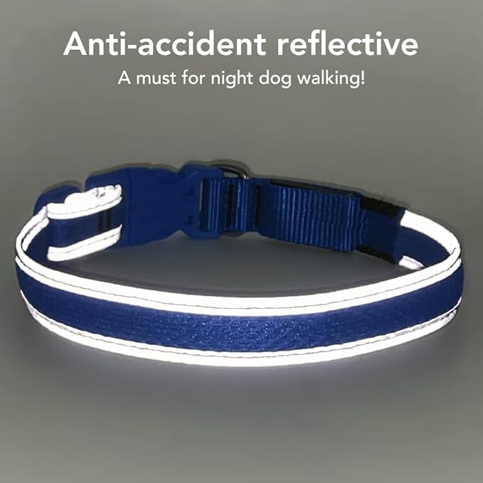 BSEEN Light Up Dog Collar - Reflective LED Dog Collar Rechargeable, Glowing Pet Collars, Adjustable Doggie Lights for Night Walking (Medium Collar, Royal Blue)