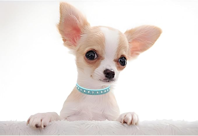 Serijoars Puppy Dog Collar with Crystal Diamond Colorful Bling Girl Puppy Small Dog Cat Collars (XS, Light Blue)