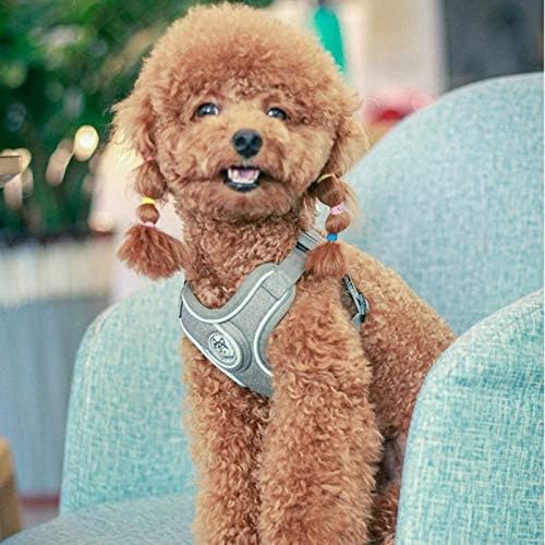 No pull dog camisole reflective small dog leash and collar Schnauzer pet cat walking training supplies Chihuahua M red