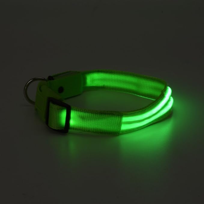 LED Dog Collar - USB Rechargeable for Night Safety(Neno Green Color,Large Size)