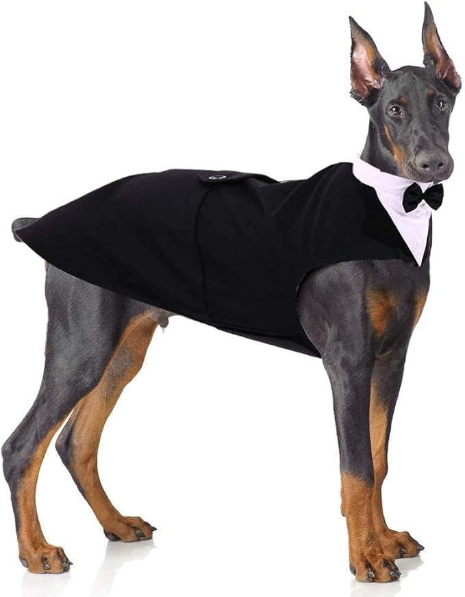 PUMYPOREITY Dog Tuxedo and Bandana Set, Formal Gentleman Dog Attire with Bowtie for Wedding, Birthday, Christmas, 2 Pieces/Pack, XL, Black