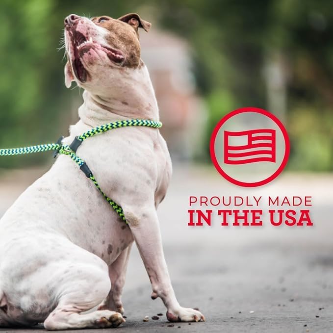 Harness Lead No Pull Dog Harness and Leash Set, Anti Pull Dog Harness, One-Piece Cushioned Rope Safely Prevents Escaping and Pulling *New Insert is Removable (Small/Medium, Rainforest)