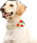 Custom Flower Dog Collar Nylon Floral Printed Pet Dog Collars Personalized Puppy Collar for Small Medium Large Dogs Cat Pitbull 167 Orange M