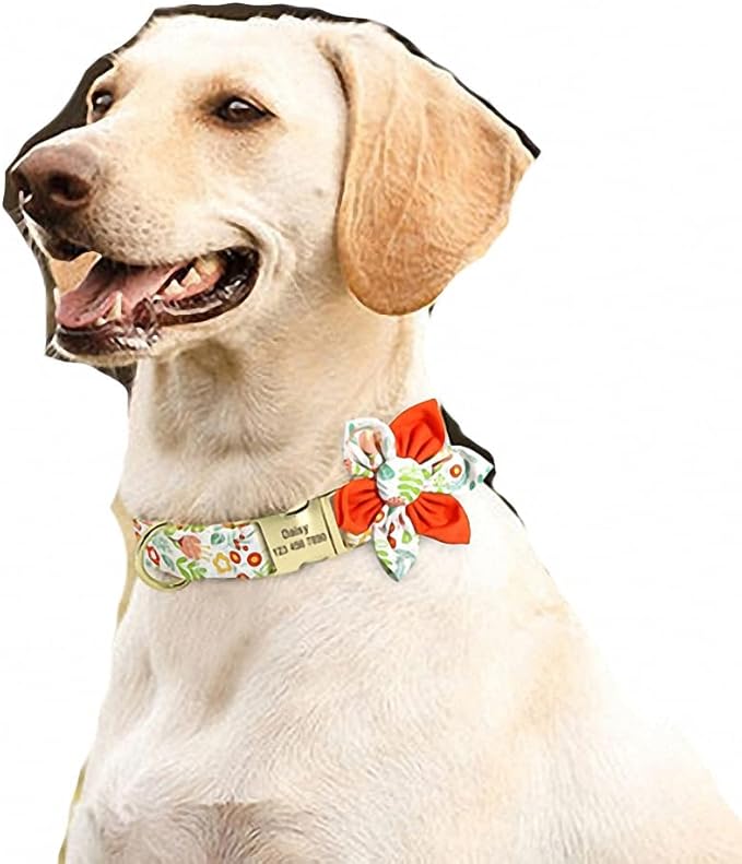 Custom Flower Dog Collar Nylon Floral Printed Pet Dog Collars Personalized Puppy Collar for Small Medium Large Dogs Cat Pitbull 167 Orange M