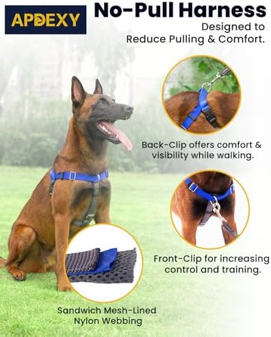 Easy Walk No Pull Dog Harness, Freedom Walk with Front and Back Clips Stainless D-Rings, Comfortable, Sewn-in Instructions Tags for Easy Use, for Medium Dogs Weight 32-40lbs (Purple, M)
