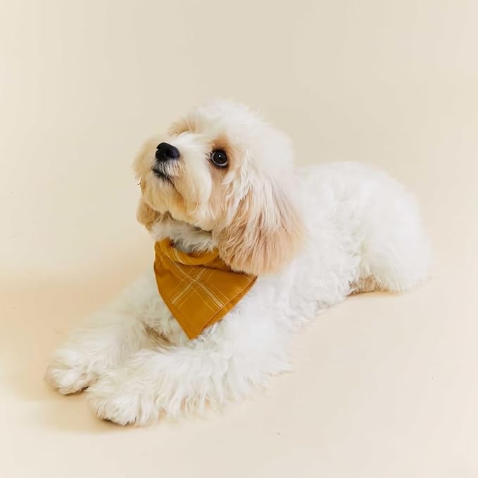 Double Layers Two Tones Dog Cotton Square Bandana Bibs Scarf Kerchief for Small Medium Dogs Boy or Girl - DCB27 Y&W