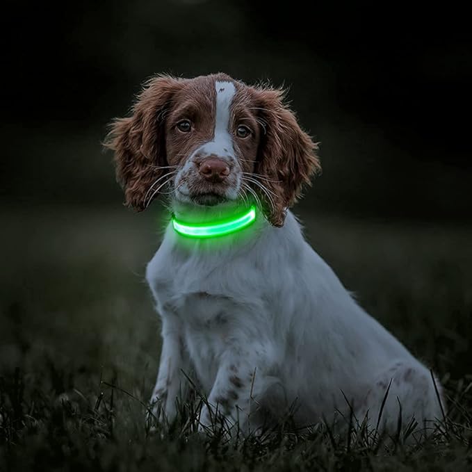 BSEEN Light Up Dog Collars - Rechargeable Puppy Collar, Adjustable Dog Glow Collar, Reflective Pet Collar, Glowing Dog Lights for Night Walking (Neon Green, Small)