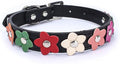 Mini Colorful Flower Puppy Dog Collar Girl Cat Collars Black M