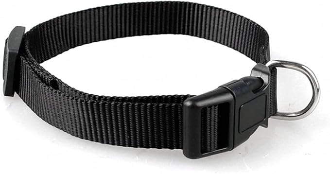 Nylon Dog Collar Small Dog Collars Cheap Pet Collar for Small Medium Dog Cat Pet Blue/red/Purple/Black 4 Size Black XS