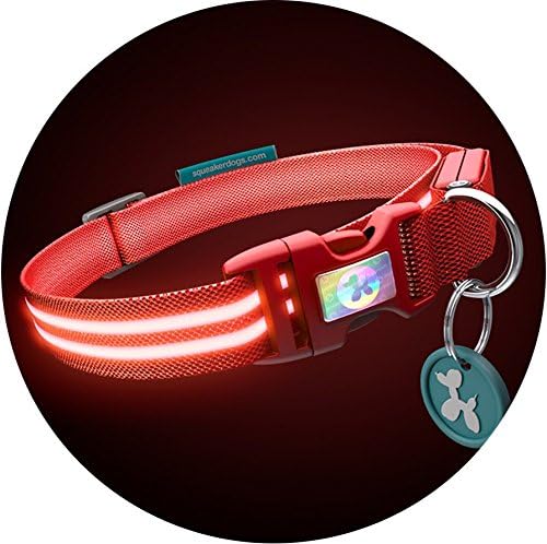 Squeaker LED Light up Dog Collar (Small 33-45cm (13-17"), Lava Red)