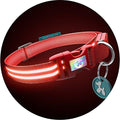 Squeaker LED Light up Dog Collar (Small 33-45cm (13-17"), Lava Red)