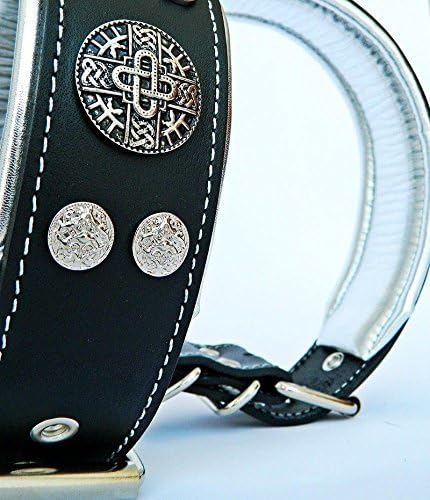 Bestia "Hektor Genuine Leather Dog Collar, Large Breeds, Cane Corso, Rottweiler, Boxer, Bullmastiff, Dogo, 100% Leather, Studded, L- XXL Size, 2.5 Inch Wide. Padded. Europe`s Fnest Dog Gear!