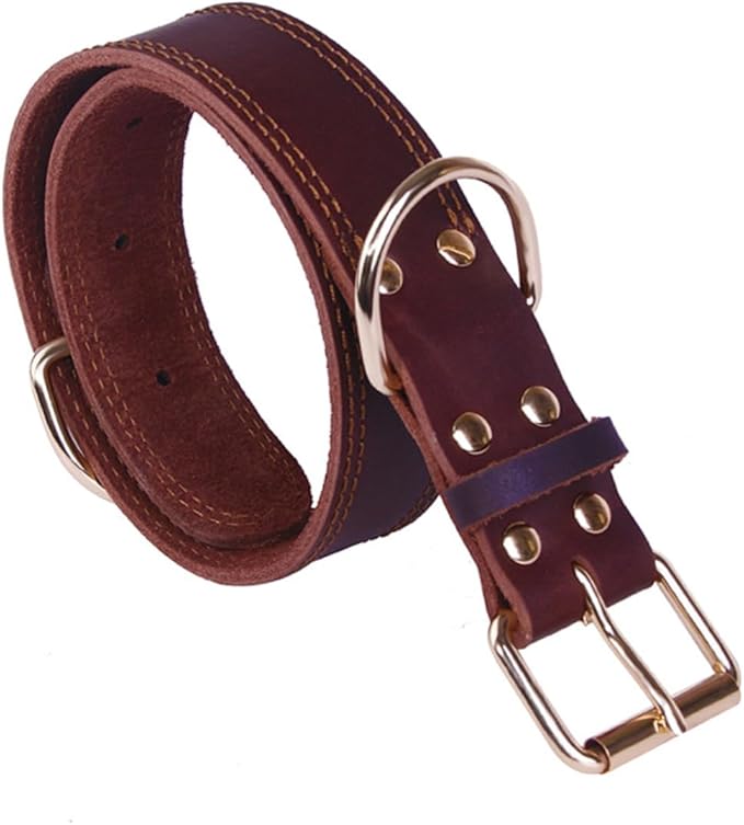 Genuine Leather for Small Medium Large Breeds Durable Grade Design Comfortable Padded Neck Protection for and Walking