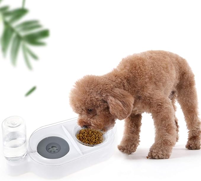Double Dog Cat Bowls,Pets Water and Food Bowl Set,Pet Automatic Water Dispenser,Detachable Dog Glass Feeder Bowl No-Spill Pet Food Water Bowls Bottle for Small Or Medium Size Dogs Cats