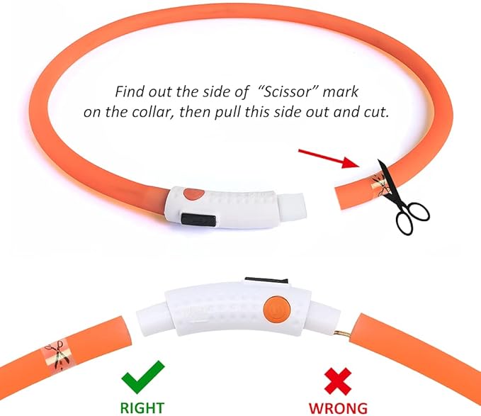 BSEEN Light Up Dog Collar, Glowing LED Dog Collar Rechargeable Cuttable Lighted Puppy Collar Safety Dog Lights Makes Your Beloved Dogs Be Seen at Night(Orange)