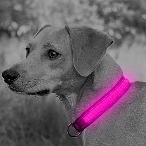 LED Dog Collar Rechargeable with Heavy Duty Electric USB Cable, Glow in The Dark with Luminous Night Reflective, Nylon Ribbon and Reflective Dog Collar for Small Medium Large Dogs (S(35-40cm), Pink)