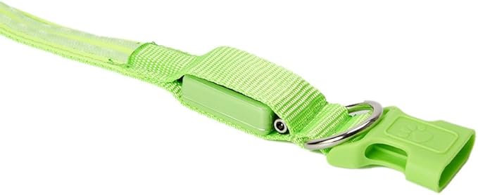 LED Dog Collar - USB Rechargeable for Night Safety(Neno Green Color,Large Size)
