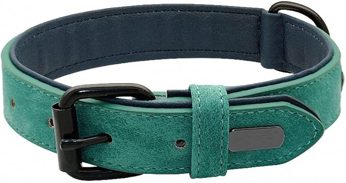 Genuine Leather Large Dog Collar Padded Durable Dog Collars Real Leather Collar for Large Dog Rottweiler Labrador Pitbull Green M