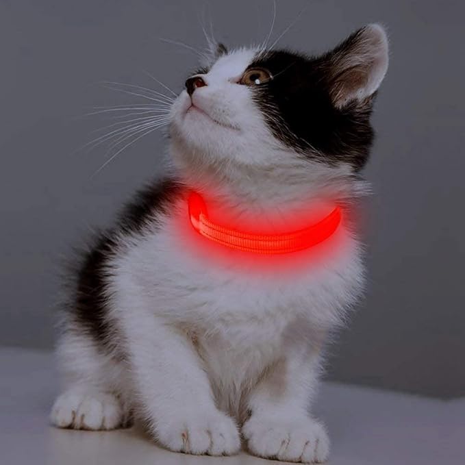 Candofly Light Up Dog Collar for Small Dogs & Cats, Safety Lighted Puppy Collar USB Rechargeable LED Collars for Night Walking Camping (X-Small, Red)