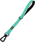 PLUTUS PET Short Training Dog Leash with Padded Handle for Medium Large Dogs,18 Inch Heavy Duty Strong Traffic Leash with Carabiner Clip for Climbing Walking or Guiding Blind(18”，Teal)