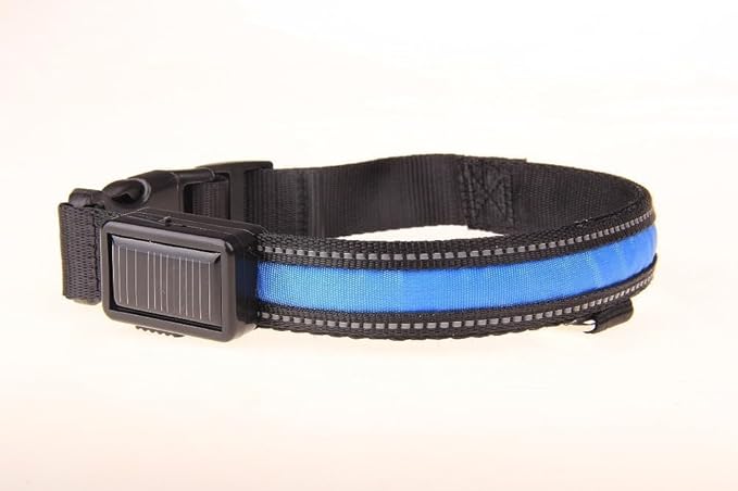 LED Dog Collar Light Rechargeable Color Changing, Glow in The Dark Dog Collars Waterproof Glowing Dog Collars for Large Small Medium Dogs (Small, Blue)