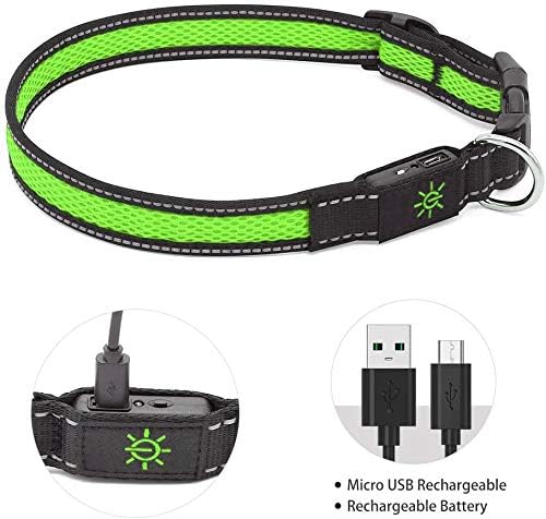 LED Dog Collar - USB Rechargeable Pet Collar Glows Brightly with Night Safety LEDs, Lights Up with Nylon Tape and Reflective, Perfect for Small Medium Large Dogs (M (Medium [43.5-50cm]), Green)