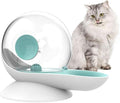 Pet Water Dispenser for Dogs and Pets Gravity Automatic Waterer Feeder Water Drinking Fountain for Small or Medium Size Dogs Cats (Green)