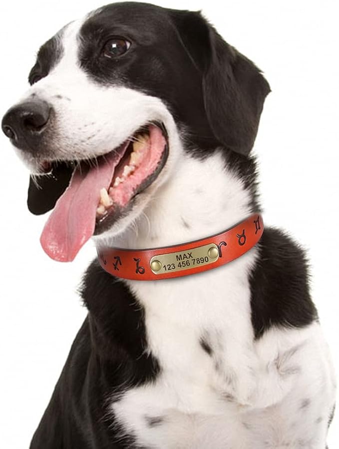 Custom Leather Dog Collar Personalized Dog Collars Leather Gold Buckle German Shepherd Pet ID Collar for Small Medium Large Dogs Light Brown XS