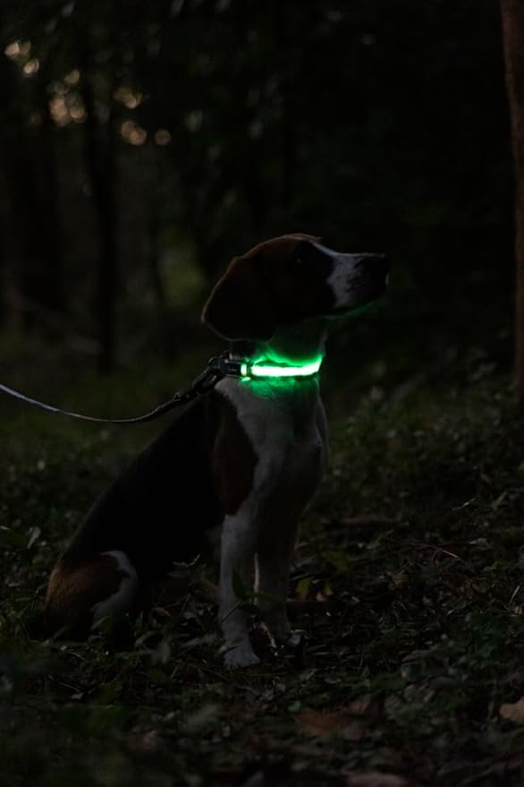 Dogness LED Dog Collar, Light Up Dog Collar for Night Walking, USB Rechargeable Glow in The Dark Dog Collars for Safety Camping (Medium - Black)