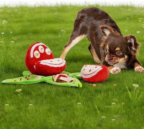 Orange Hide and Seek Plush Dog Toy, Interactive Squeaky Puzzle Toy with Hidden Pockets & Crinkle Paper, Watermelon Snuffle Mat for Small Medium Dogs Boredom Nosework (Watermelon)