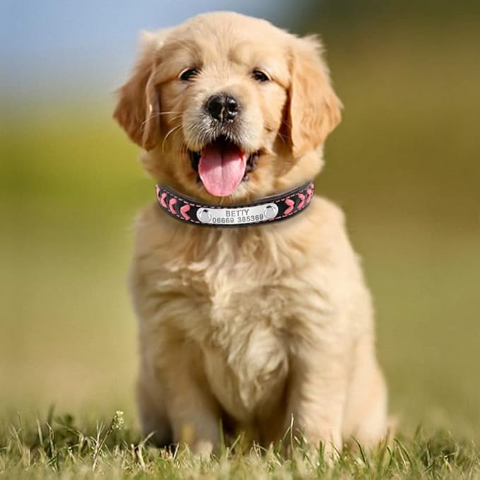 Customized Dog Collars Adjustable Padded Leather Personalized Pet Name ID Collar Free Engraving for Small Medium Large Dogs Cats Pink M