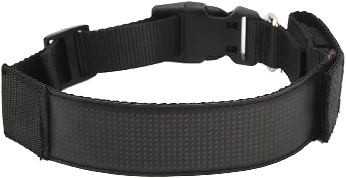 Colorful LED Dog Collar with, Rechargeable Lightup Klace for Cam and Night Walking