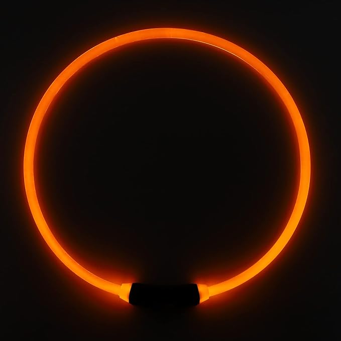 Light Up Dog Collar, in The Dark Dog Collar Glowing Pet Collar for Medium Small Dogs USB Rechargeable Led Collar Led Dog Collar for Night Walking Lighted Dog Collar Necklace