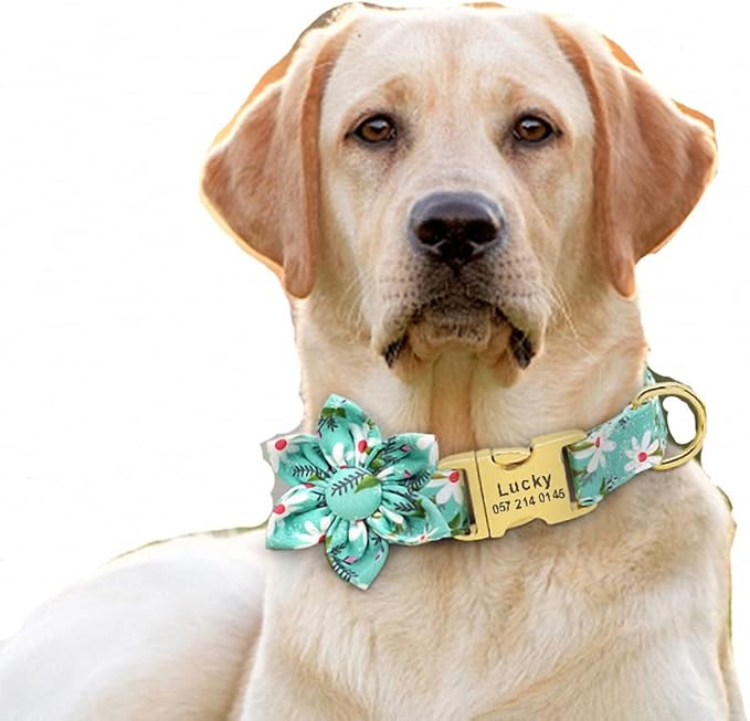 Custom Flower Dog Collar Nylon Floral Printed Pet Dog Collars Personalized Puppy Collar for Small Medium Large Dogs Cat Pitbull 153 Green S