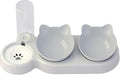 Innovative Pet Automatic Water Dispenser with Double Bowls for Feeding and Drinking Clear Bowl for Cats and Dogs