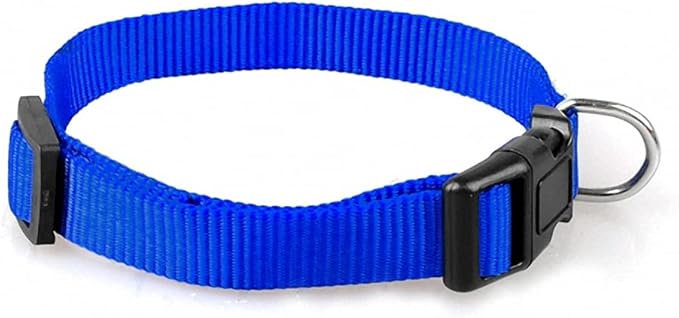 Nylon Dog Collar Small Dog Collars Cheap Pet Collar for Small Medium Dog Cat Pet Blue/red/Purple/Black 4 Size Blue M