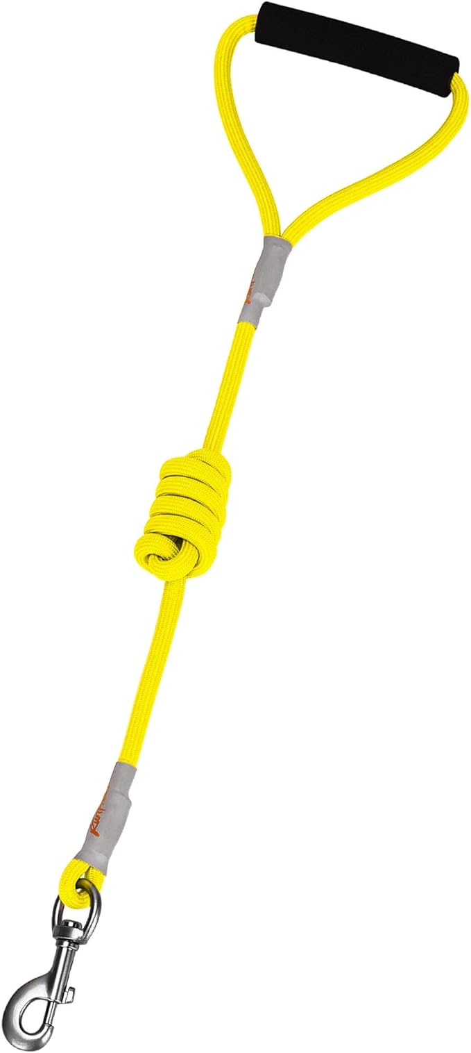 Dog Harness and Leash - Comfortable Leash and Harness for Small, Medium, Large Dogs - Perfect for Training, Includes D-Ring [Yellow S]